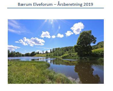 Årsmøtesaker (årsmøtet utsatt pga korona-virus)