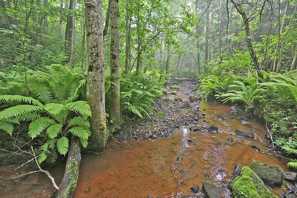 Partnerskapsavtale med Bærum kommune