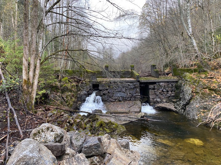 Bjørumdammen må bevares og settes i stand!
