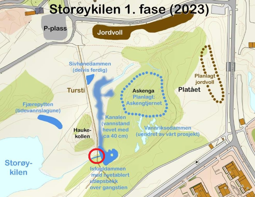 Hjelp ønskes - Storøykilen (restaurering, beplant)