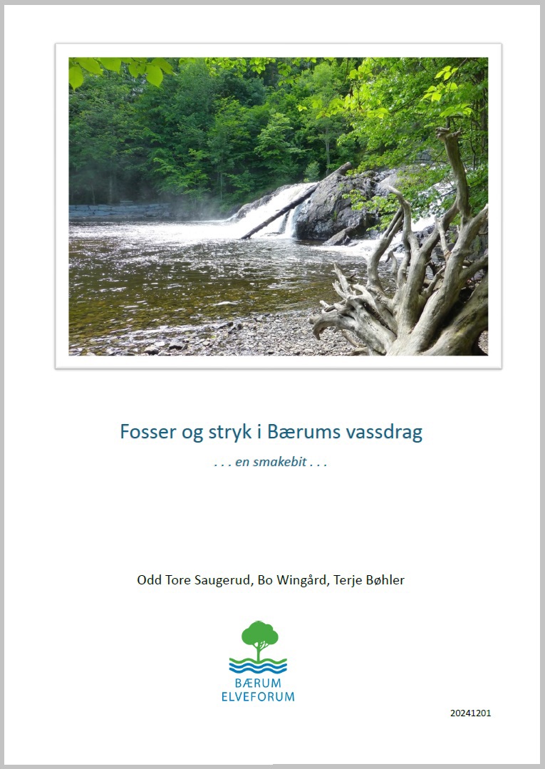 Fosser og stryk i Bærums vassdrag