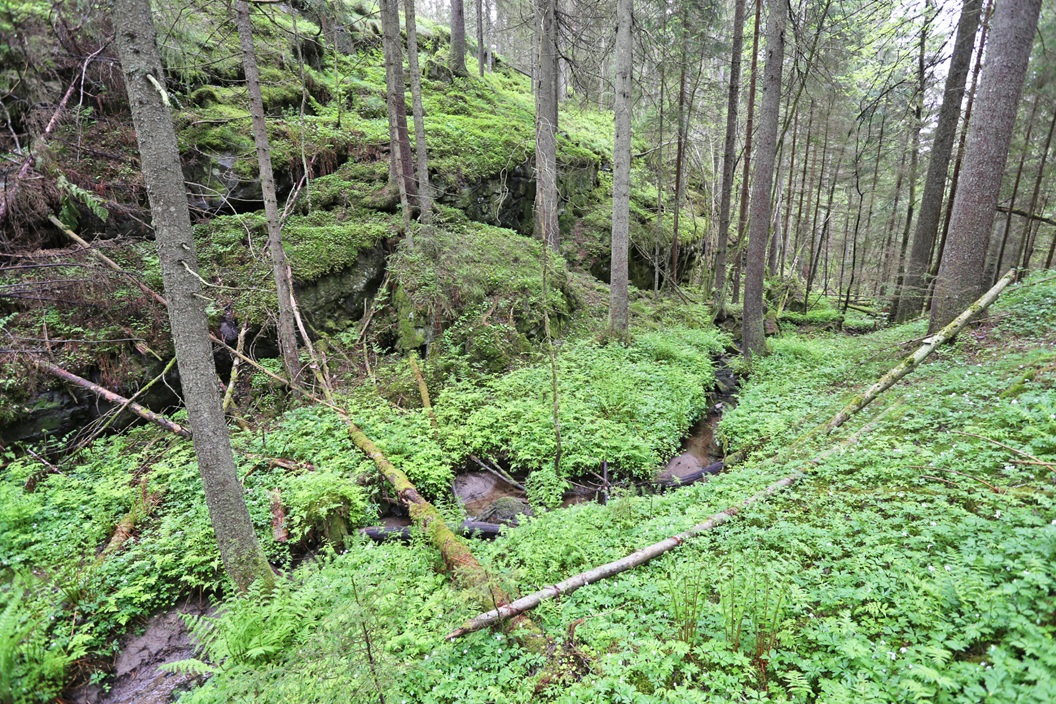 Småbekker i Bærum - vi trenger din hjelp