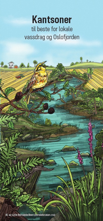 Artikkelbilde til artikkelen Ny kantsonebrosjyre utarbeidet