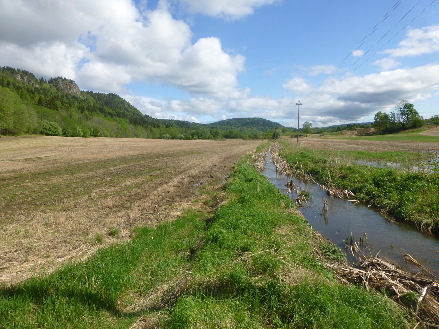 Artikkelbilde til artikkelen Kantsoner mot vann i Bærum