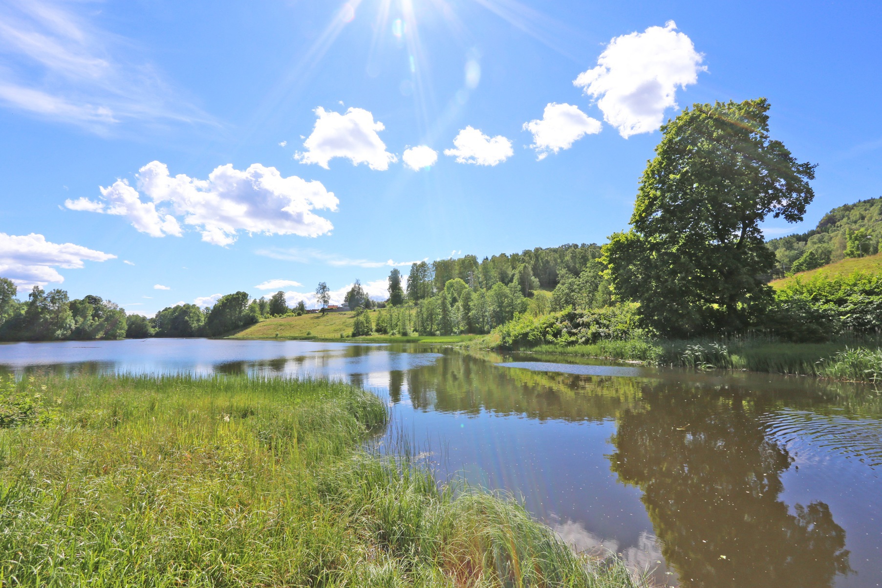 Bærum Naturfestival - Fuglesangtur Glitredammen