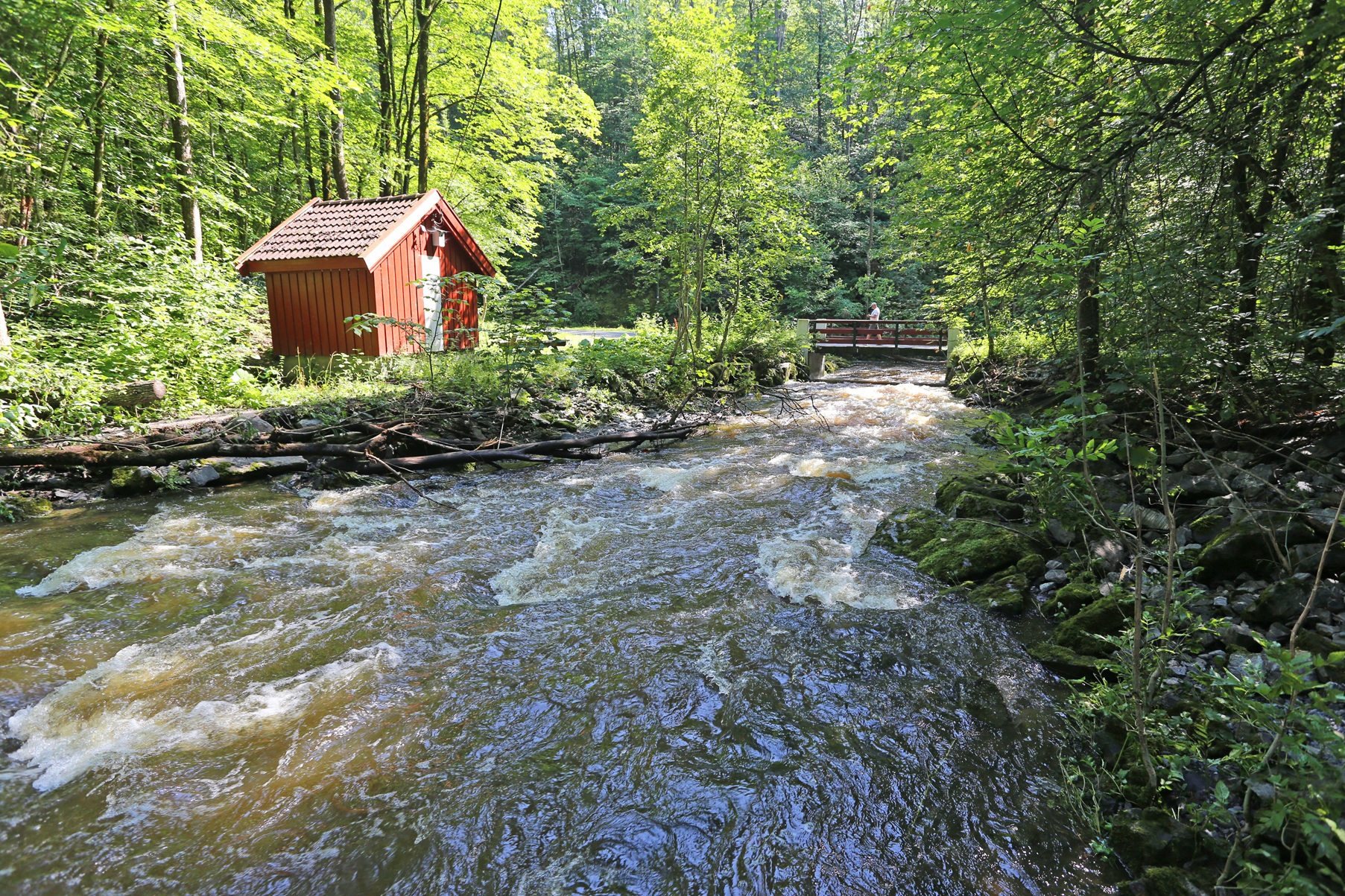 Bærum Naturfestival - Nyttevekster Øverlandselva