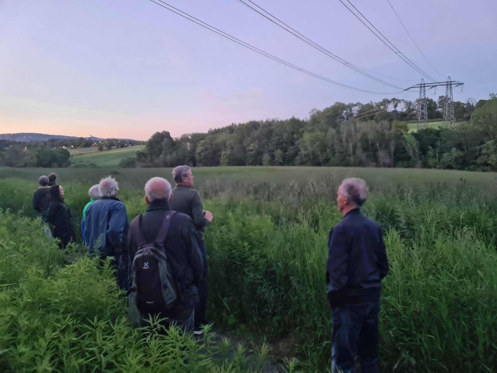 Bærum Naturfestival - Myrsangertur til Øverland
