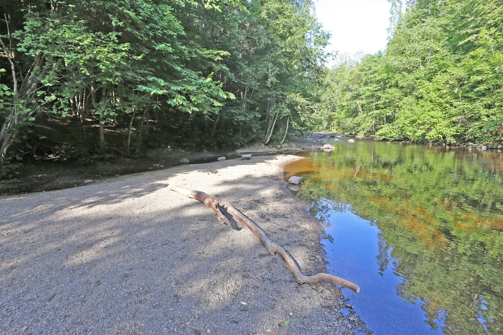 Bærum Naturfestival - Rusletur langs Lysakerelva